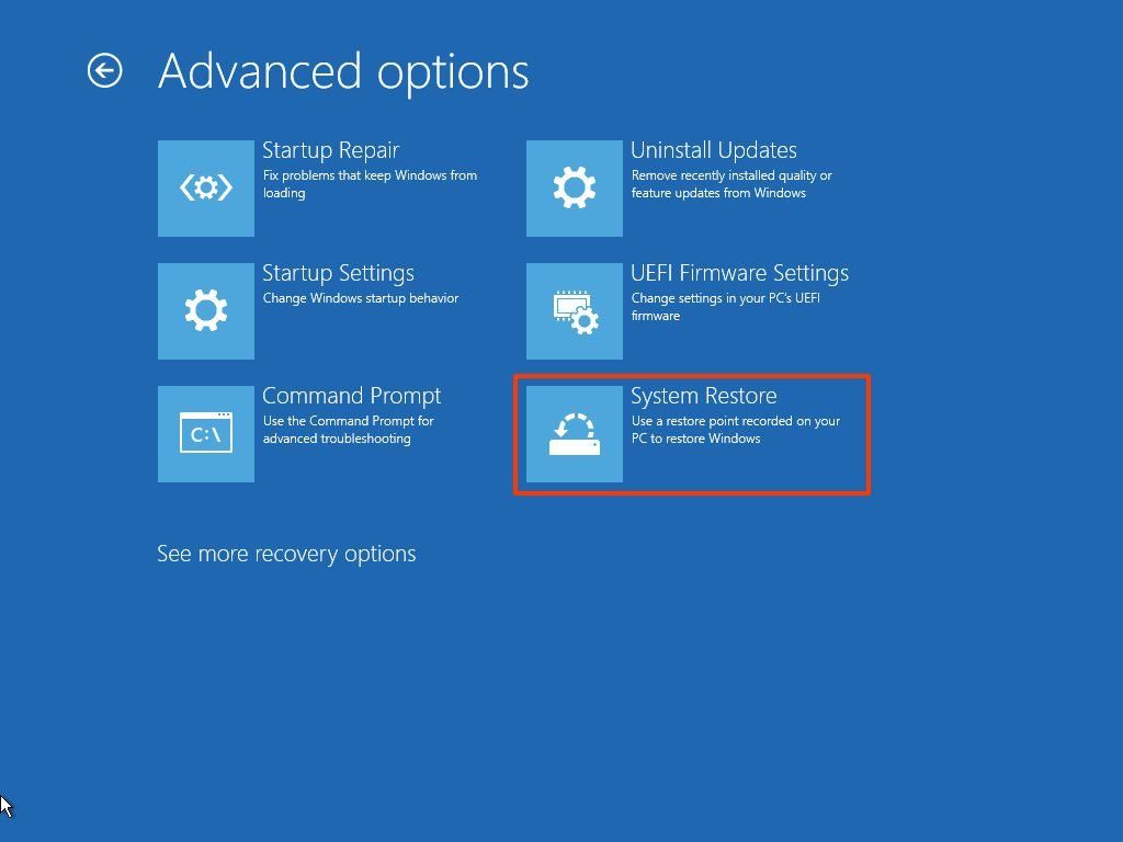 Advanced options-system restore